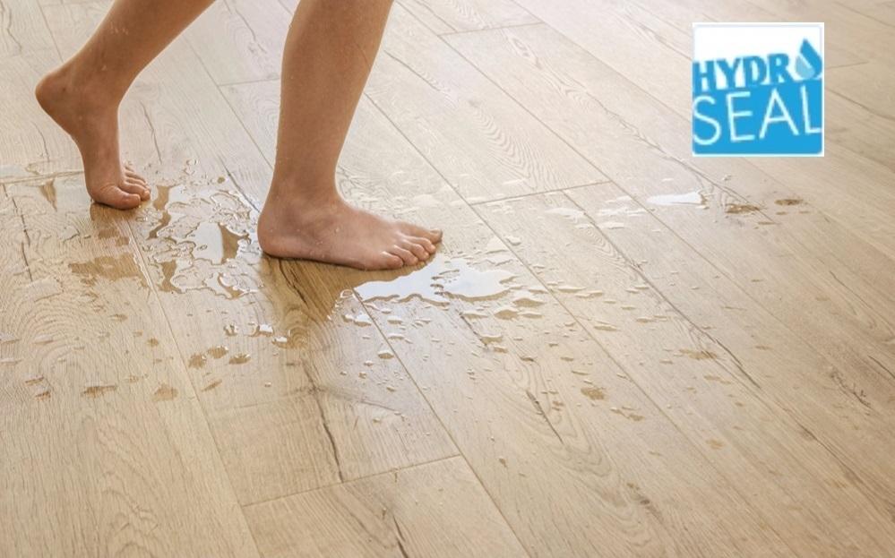 JXF吉祥坊Quick-Step艺术木地板-----踏响生活的韵律 WPS图片(1) JXF吉祥坊Quick-Step艺术木地板-----踏响生活的韵律 WPS图片(1)