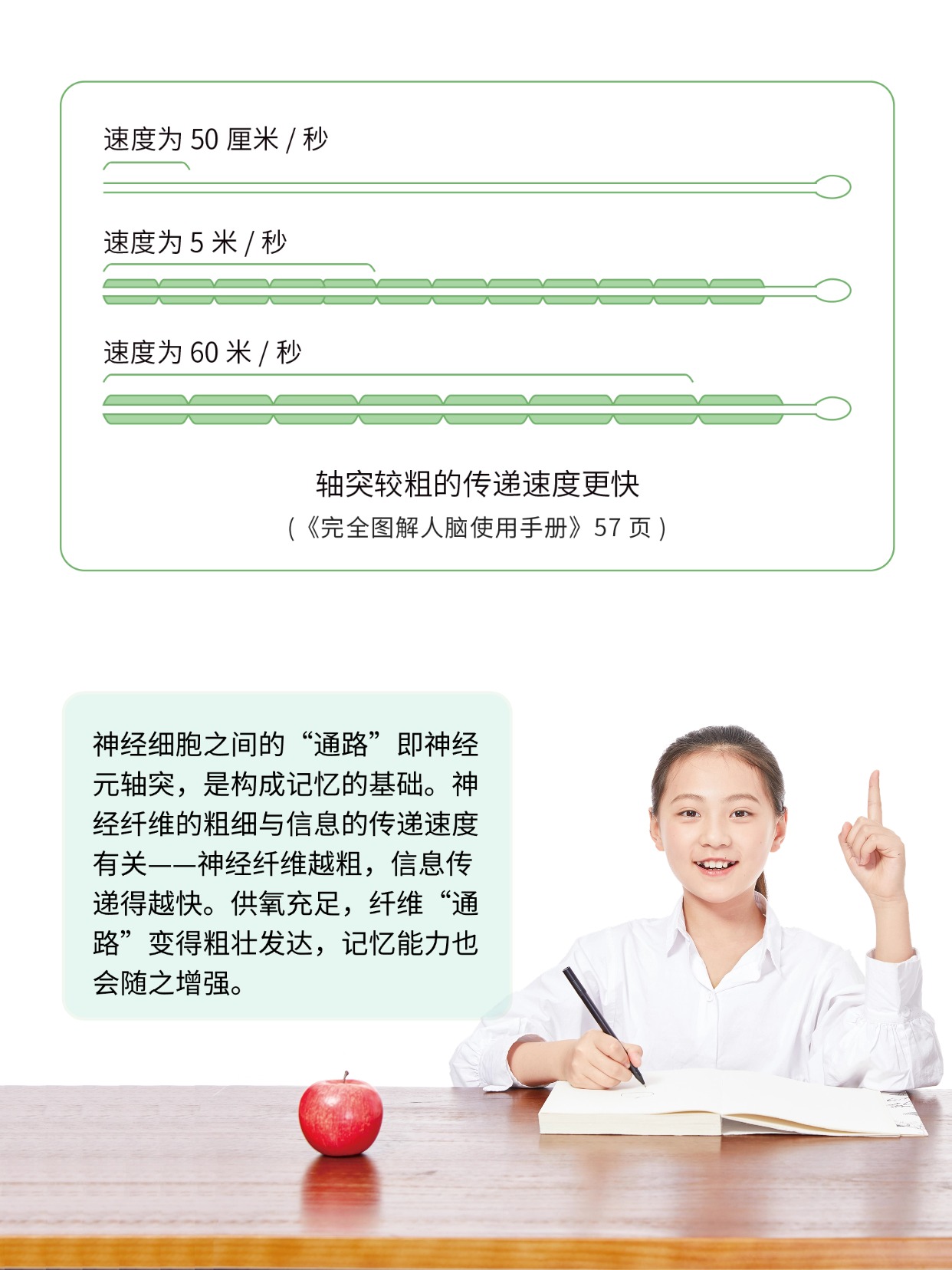 你听说过能补氧的桌子吗?有娃家庭直接抄作业 图片8 你听说过能补氧的桌子吗?有娃家庭直接抄作业 图片8